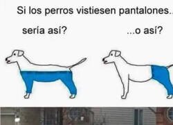 Enlace a Por fin alguien resolvió la duda