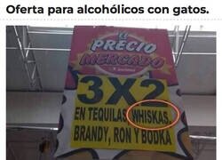 Enlace a El Misifú siempre en mente