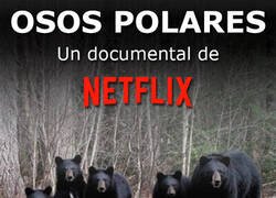 Enlace a Lo último de Netflix