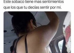 Enlace a Mira como llora