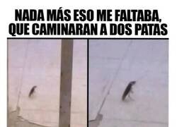 Enlace a El dominio total del mundo