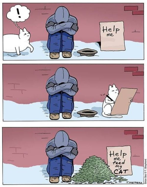 Meme_otros - Sentimos más pena por un animal que por un humano