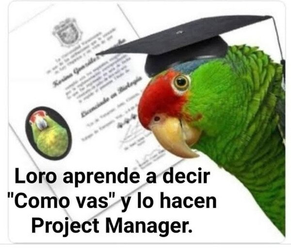 Meme_otros - Más que suficiente