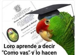 Enlace a Más que suficiente