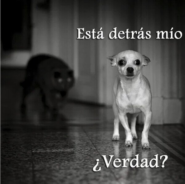 Meme_otros - Que viene...