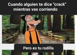 Enlace a No es para alegrarse