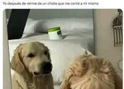 Enlace a ¿Estaré loco?