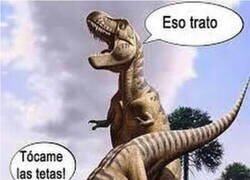 Enlace a Y por eso se acabaron extinguiendo