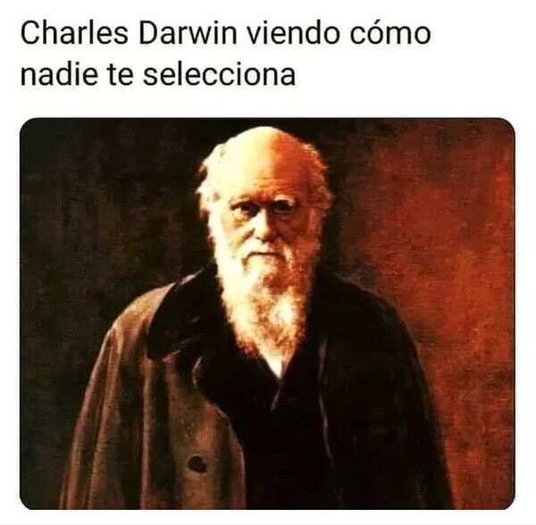 Otros - No estaría orgulloso