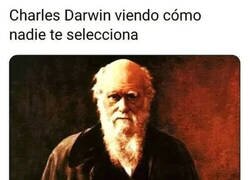 Enlace a No estaría orgulloso