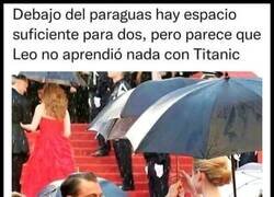 Enlace a No aprendió nada