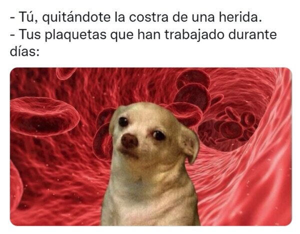 Otros - Nadie piensa en el trabajo de las plaquetas