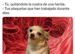 Enlace a Nadie piensa en el trabajo de las plaquetas