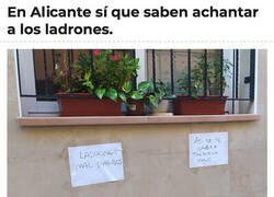 Enlace a Seguridad alicantina