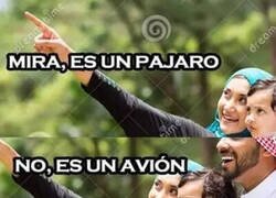 Enlace a Lo siento...