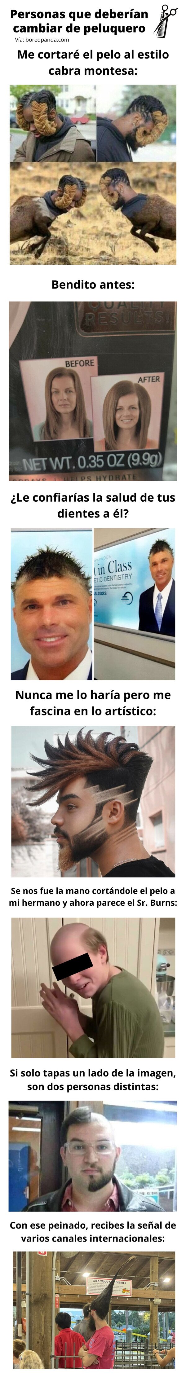 Meme_otros - Personas que deberían cambiar de peluquero