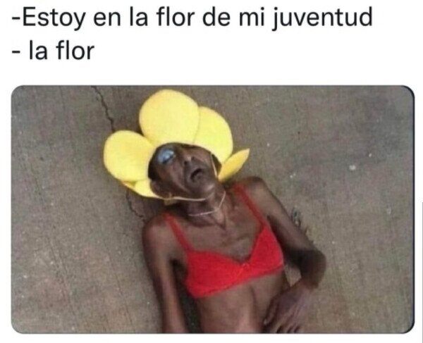 Otros - Flor marchita