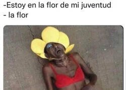 Enlace a Flor marchita