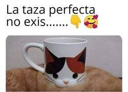 Enlace a La taza gato