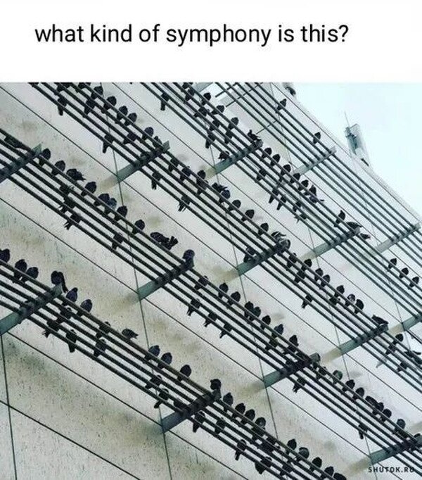 Meme_otros - ¿Qué clase de partitura es esta?