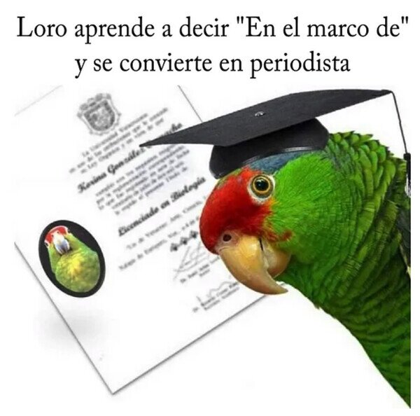 Otros - El loro periodista