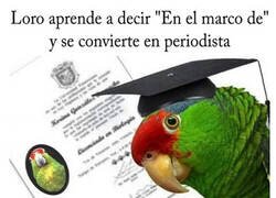 Enlace a El loro periodista