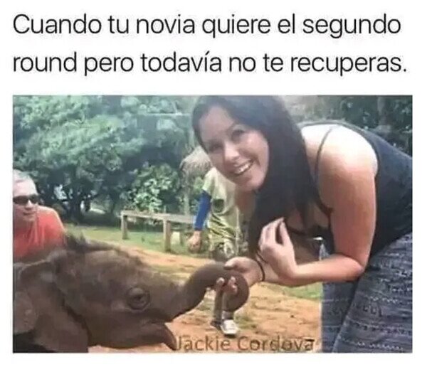 Otros - El pequeño elefante tiene la trompa exhausta