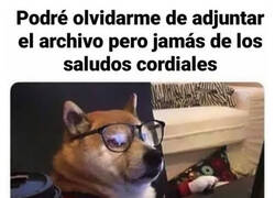 Enlace a Despistado pero educado