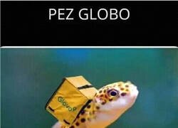 Enlace a No tardaremos en verlos