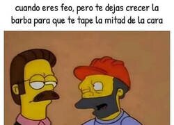 Enlace a El truco de la barba