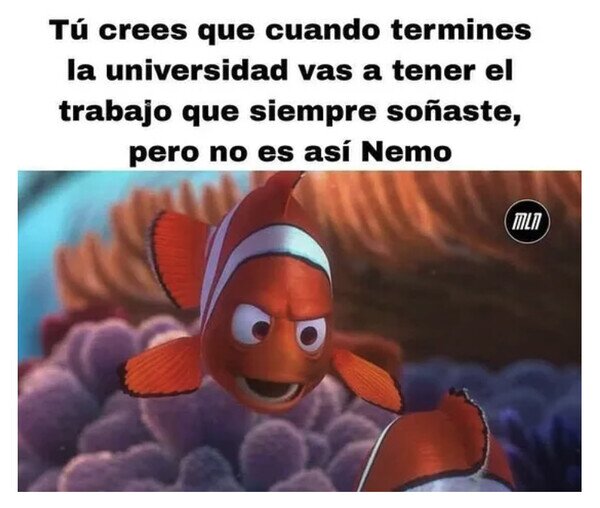 Otros - La realidad es otra