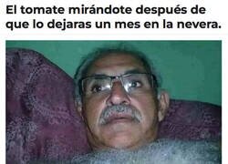 Enlace a Le sale esa pelusilla...