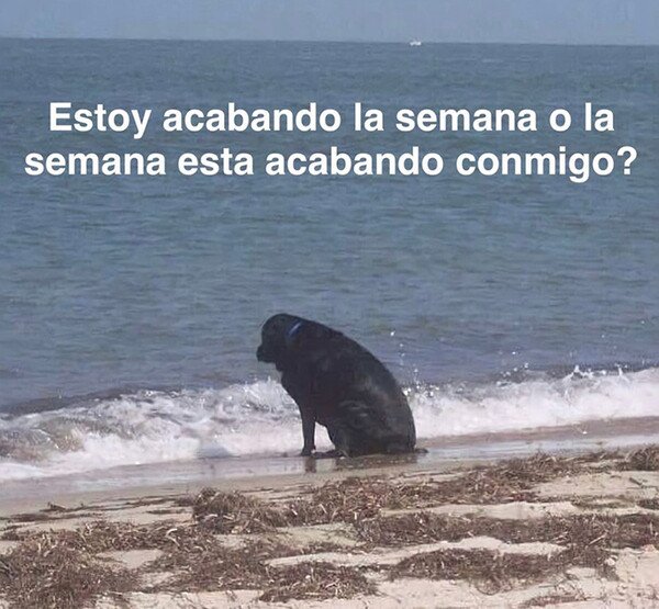 Meme_otros - Deberíais plantearos esto