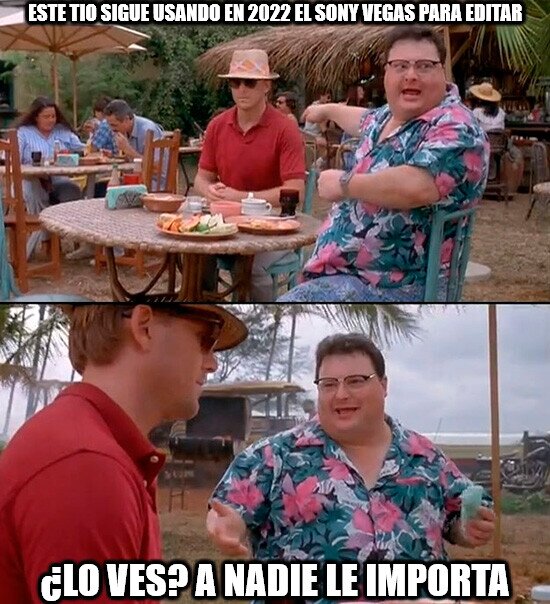 lo ves a nadie le importa,edición de videos,nekonomesa,sony vegas,gente que se cree especial por usar el adobe premiere