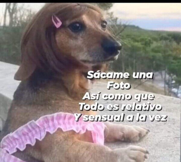 Meme_otros - La recién separada