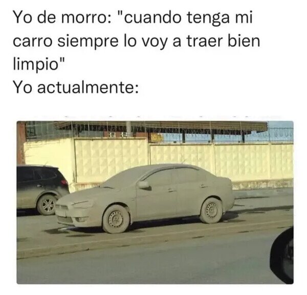 Otros - Limpiar el coche