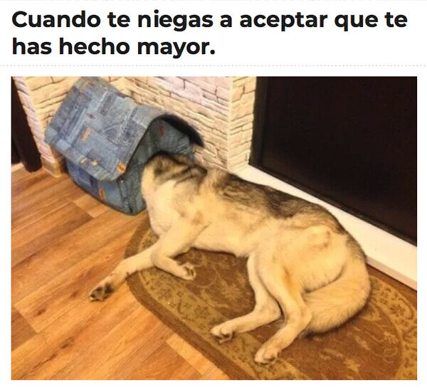 Meme_otros - Sigue siendo mi casita...