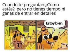 Enlace a Bien sin más