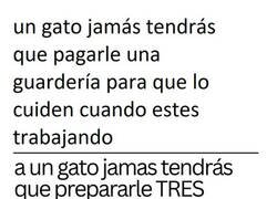 Enlace a ¿Es mejor tener un niño o un gato?