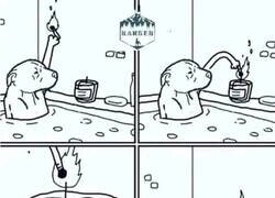 Enlace a Perfección perruna