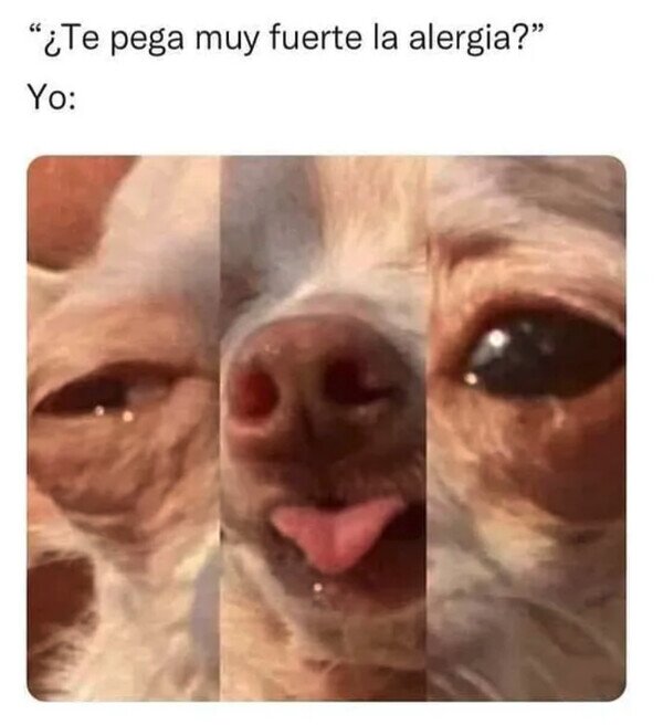 Meme_otros - Soy un saco de mocos y lágrimas