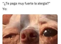 Enlace a Soy un saco de mocos y lágrimas