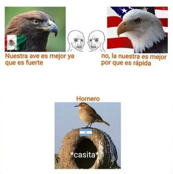 Meme_otros - Yo soy del hornero argentino