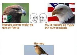 Enlace a Yo soy del hornero argentino