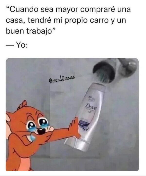 Meme_otros - Rellenando el bote de champú con agua