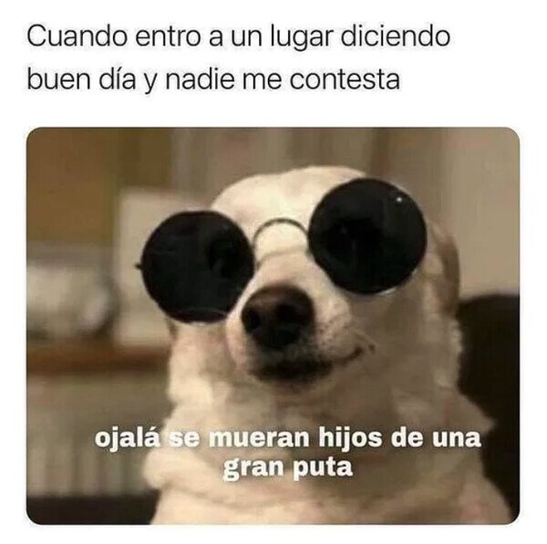 Meme_otros - Panda de maleducados