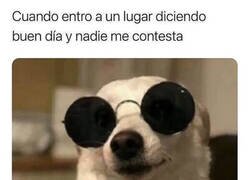 Enlace a Panda de maleducados