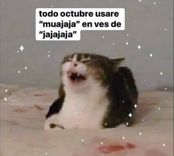 Otros - Así celebro yo Halloween