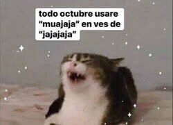 Enlace a Así celebro yo Halloween