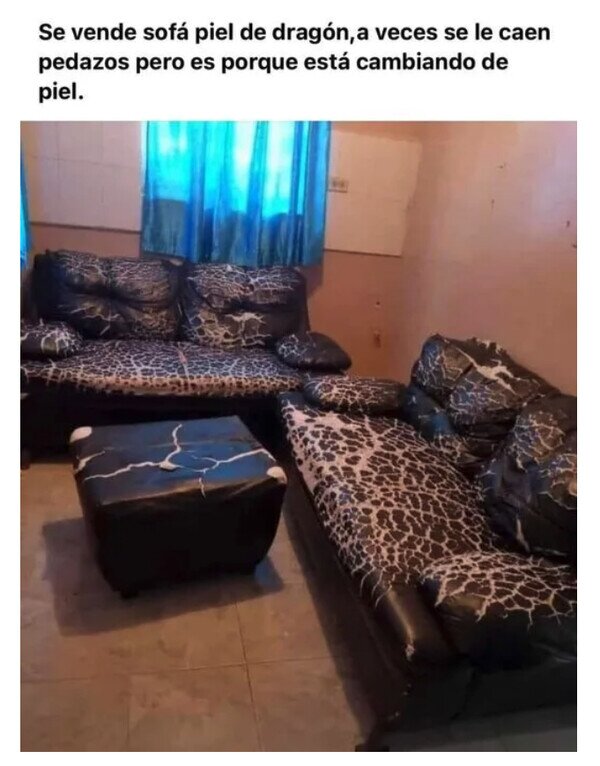 Meme_otros - Sofá de piel de dragón